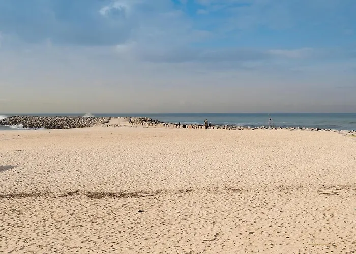 Host Wise - Spacious Fresh Flat W Terrace - Near Sea * Espinho (Aveiro)